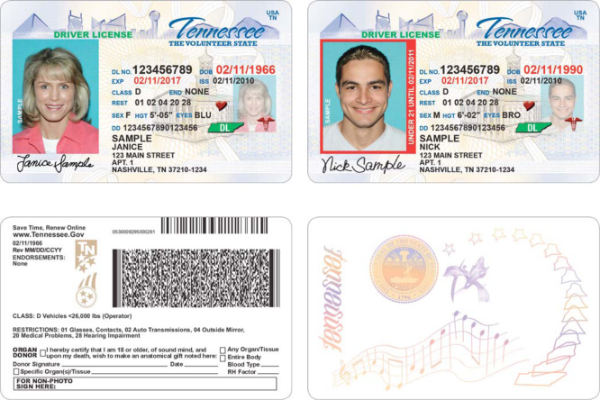 Check status of drivers license indiana