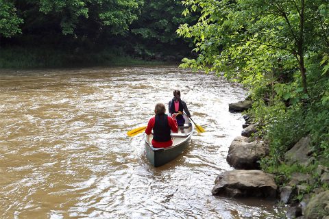 Canoe or kayak the Cumberland River from Liberty Park to Trice Landing Park with Clarksville Parks and Recreation.