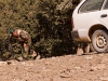 A National Afghan Army sergeant attached to Troop B, 1st Squadron, 33rd Calvary Regiment, 3rd Brigade Combat Team, 101st Airborne Division (Air Assault), checks a suspicious vehicle for signs of an improvised explosive device in Shamal District, Oct. 26, 2012. Troop B’s primary mission, besides reconnaissance, is to train and mentor the ANA and Afghan Uniform Police. (U.S Army photo by Sgt. Christopher Bonebrake, 115th Mobile Public Affairs Detachment)