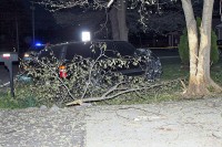 Chevy Tahoe crashed into a tree off Pembroke Road. (Photo by Officer John Reyes)
