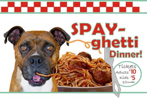 SPAY-Ghetti Dinner Fundraiser