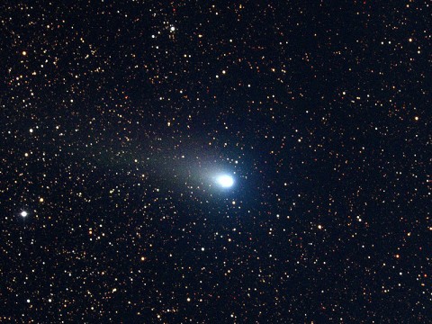 Comet 21P/Giacobini-Zinner in November 1998. (Photographed by astronomers at Kitt Peak)