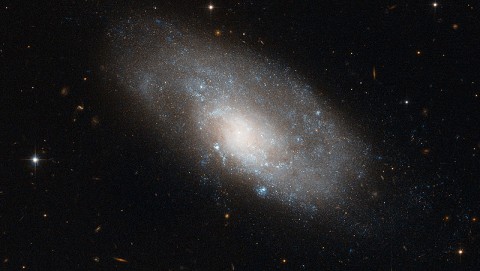 A Spiral Galaxy in Hydra. (Credit: ESA/Hubble & NASA)