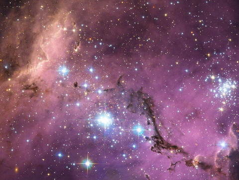 Star forming regions in the Large Magellanic Cloud. (Credit: ESA/NASA/Hubble)
