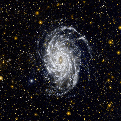 This image from NASA's Galaxy Evolution Explorer shows NGC 6744, one of the galaxies most similar to our Milky Way in the local universe. This ultraviolet view highlights the vast extent of the fluffy spiral arms, and demonstrates that star formation can occur in the outer regions of galaxies. (Image credit: NASA/JPL-Caltech)