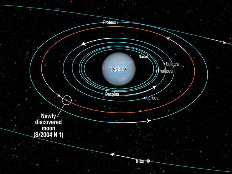 This diagram shows the orbits of several moons located close to the planet  Neptune. All of