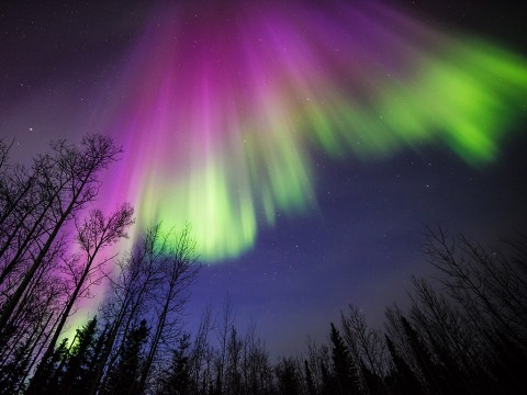 This image of a colorful aurora was taken in Delta Junction, Alaska, on April 10, 2015. All auroras are created by energetic electrons, which rain down from Earth’s magnetic bubble and interact with particles in the upper atmosphere to create glowing lights that stretch across the sky. (Image courtesy of Sebastian Saarloos)