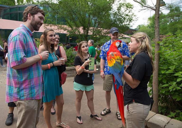 Nashville Zoo tickets for Brew at the Zoo now on sale Clarksville