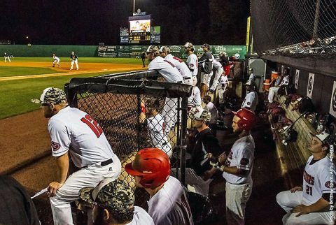 Austin Peay Baseball's Red-Black World Series begins Friday at 3:30pm at Raymond C. Hand Park. (APSU Sports Information)