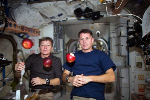 Expedition 50 crew members Peggy Whitson (left) and Shane Kimbrough of NASA (right) share fresh fruit that was recently delivered by the HTV-6 cargo vehicle to the International Space Station. (NASA)