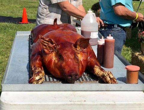 Kentucky State BBQ Festival