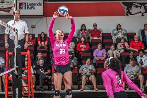 Austin Peay Volleyball travels to Western Kentucky, Tennessee Tech and Jacksonville State this week. (APSU Sports Information)