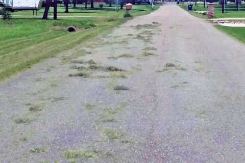 grass clippings in road illegal