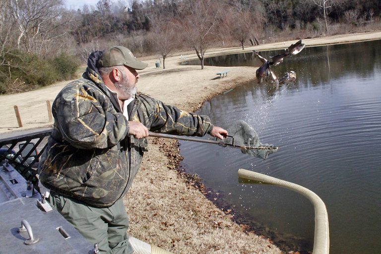 2021 trout stocking schedule