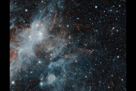 Thin, red veins of energized gas mark the location of the supernova remnant HBH3 in this image from NASA's Spitzer Space Telescope. The puffy, white feature in the image is a portion of the star forming regions W3, W4 and W5. Infrared wavelengths of 3.6 microns have been mapped to blue, and 4.5 microns to red. The white color of the star-forming region is a combination of both wavelengths, while the HBH3 filaments radiate only at the longer 4.5 micron wavelength. (NASA/JPL-Caltech/IPAC)