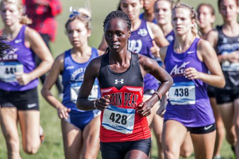 Austin Peay Women's Cross Country to host 2018 Austin Peay Cross Country Festival this Saturday. (APSU Sports Information)