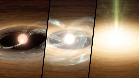 This illustration shows a young star undergoing a type of growth spurt. Left: Material from the dusty and gas-rich disk (orange) plus hot gas (blue) mildly flows onto the star, creating a hot spot. Middle: The outburst begins - the inner disk is heated, more material flows to the star, and the disk creeps inward. Right: The outburst is in full throttle, with the inner disk merging into the star and gas flowing outward (green). (Caltech/T. Pyle (IPAC))