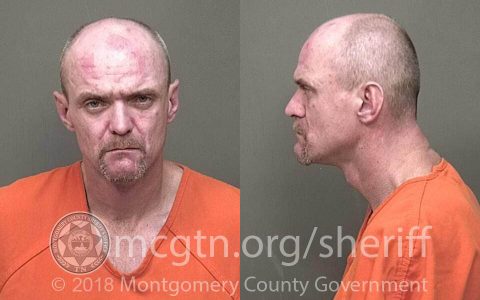 clarksville hunter michael police vehicle burglary arrest spotted