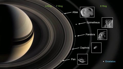 This graphic shows the ring moons inspected by NASA's Cassini spacecraft in super-close flybys. The rings and moons depicted are not to scale. (NASA-JPL/Caltech)