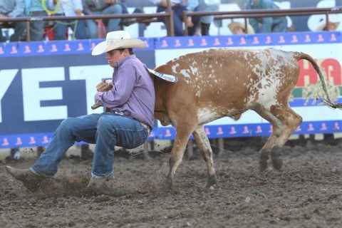 Eli Bock JR High Nationals Chute Dogging. (James Bock)