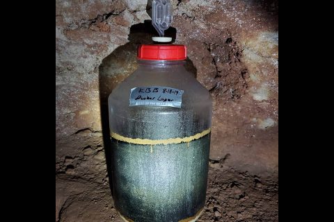 Dunbar Draught fermenting deep inside Clarksville's Dunbar Cave.