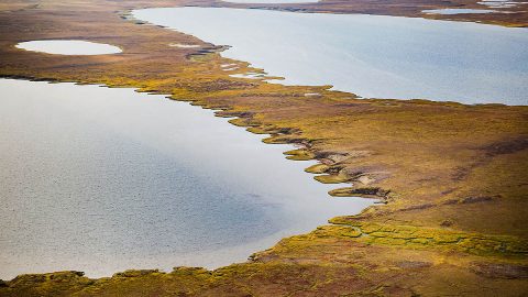 The image shows a thermokarst lake in Alaska. Thermokarst lakes form in the Arctic when permafrost thaws. (NASA/JPL-Caltech)