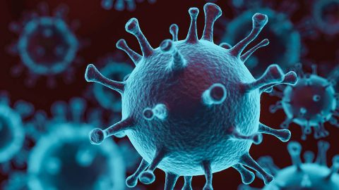 Candidate selected to initiate testing of HaloVax™, a Self-Assembling Vaccine to protect people at risk of COVID-19 Coronavirus infection.