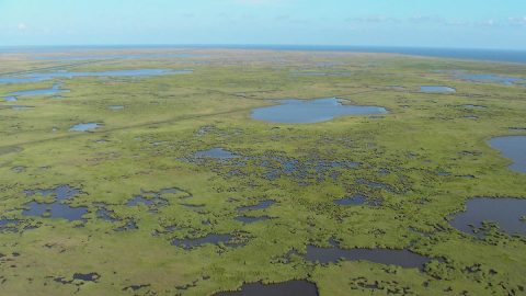 The Mississippi River Delta contains vast areas of marshes, swamps and barrier islands - important for wildlife and as protective buffers against storms and hurricanes. Rapid land subsidence due to sediment compaction and dewatering increases the rate of submergence in this system. (K.L. McKee / U.S. Geological Survey)