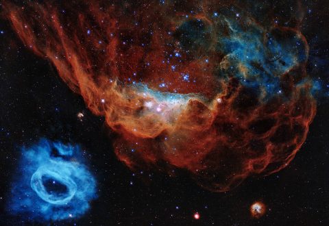 A colorful image resembling a cosmic version of an undersea world teeming with stars is being released to commemorate the Hubble Space Telescope's 30 years of viewing the wonders of space. In the Hubble portrait, the giant red nebula (NGC 2014) and its smaller blue neighbor (NGC 2020) are part of a vast star-forming region in the Large Magellanic Cloud, a satellite galaxy of the Milky Way, located 163,000 light-years away. (NASA, ESA and STScI)