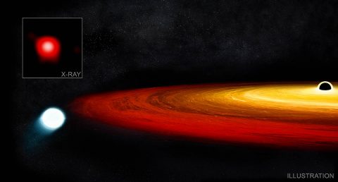 Astronomers may have discovered a new kind of survival story: a star that had a brush with a giant black hole and lived to tell the tale through exclamations of X-rays. Data from NASA’s Chandra X-ray Observatory and ESA’s XMM-Newton uncovered the account that began with a red giant star wandering too close to a supermassive black hole in a galaxy about 250 million light years from Earth. (X-ray: NASA/CXO/CSIC-INTA/G.Miniutti et al.; Illustration: NASA/CXC/M. Weiss)