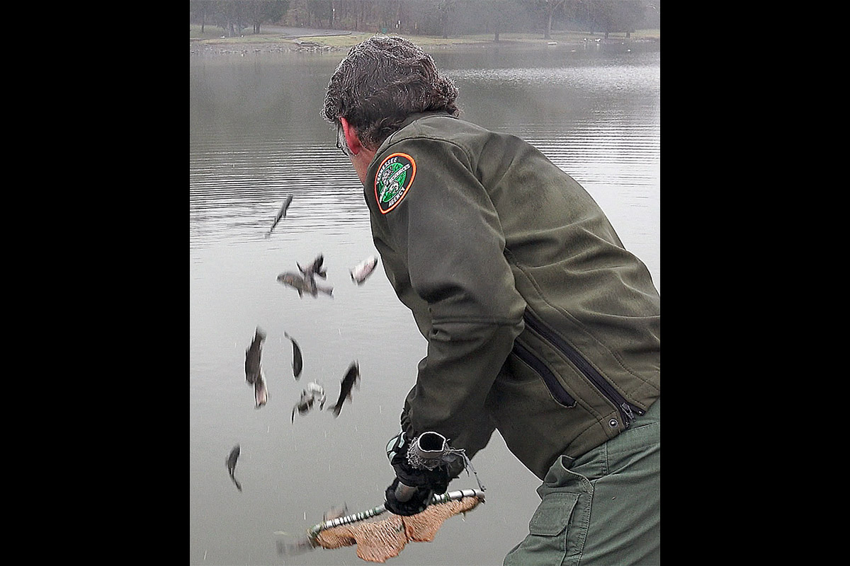 TWRA begins Winter Trout Stocking, Billy Dunlop Park stocked Wednesday