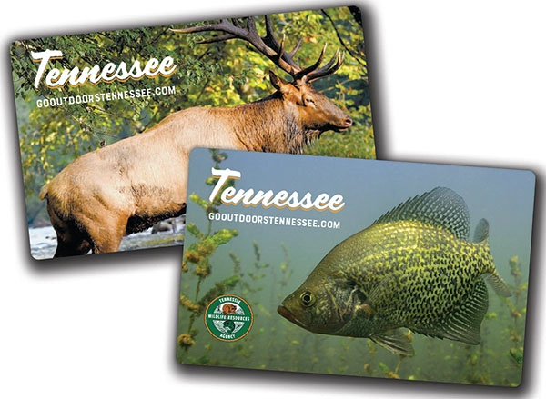 Hunting & Fishing Licenses Available Online
