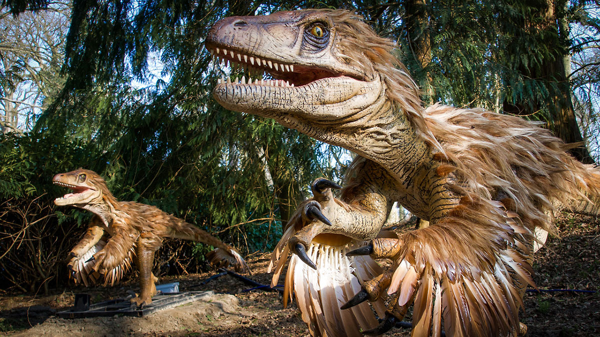 Deinosuchus- Dinosaur Zoo at Wingham Wildlife Park