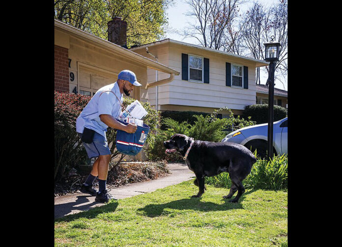 Letter carrier takes a protective stance against an approaching dog.