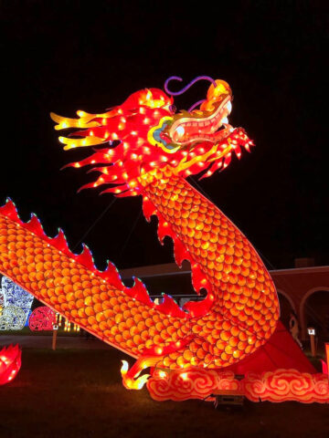 Dragon Dance