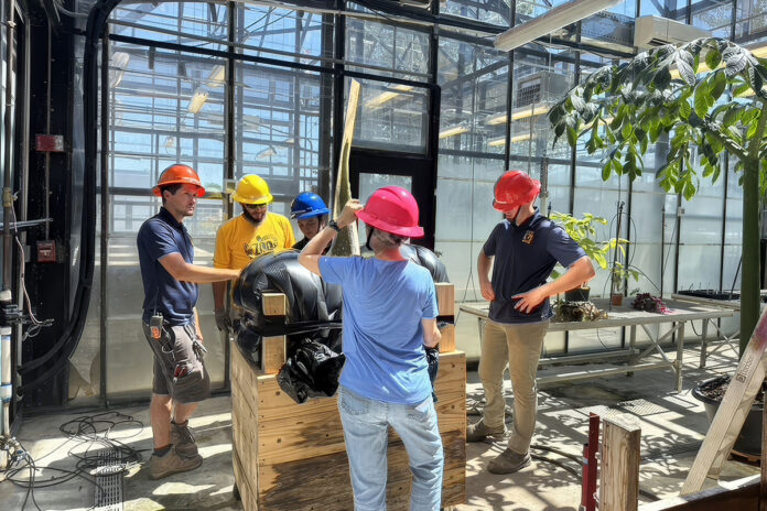 Zeus, Austin Peay State University’s corpse flower, receives a visit from Nashville Zoo employees as they prepare for his move. The plant will return to APSU after repairs to the College of STEM’s storm-damaged greenhouse. (APSU)