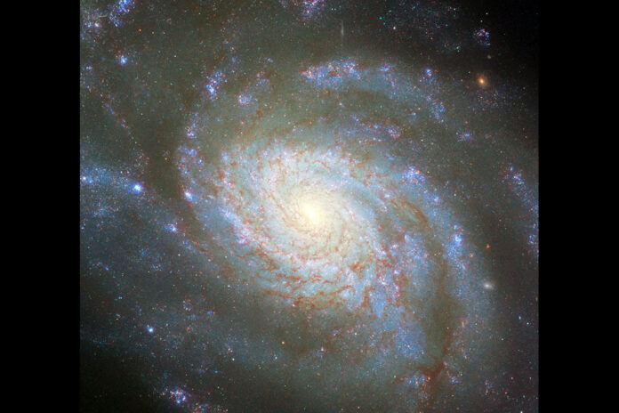 This NASA/ESA Hubble Space Telescope image features the galaxy NGC 3810. (ESA/Hubble & NASA, D. Sand, R. J. Foley)